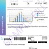 USA Liberty Utilities Utility Bill Word And PDF Template (4 Pages)