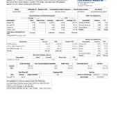 USA Lockheed Martin Pay Stub Word And PDF Template (2 Pages)