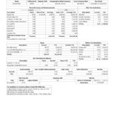 USA Lockheed Martin PayStub Word And PDF Template
