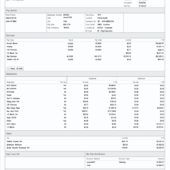 USA Longhorn Helicopters Pay Stub Word And PDF Template