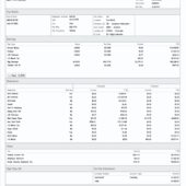 USA Longhorn Helicopters Paystub Template