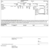 USA MACYS RETAIL HOLDINGS LLC PayStub Word And PDF Template (2 Pages)