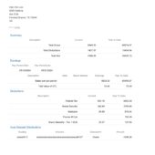 USA McKinsey & Company Inc Pay Stub Word And PDF Template