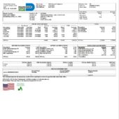 USA Miami Dade County PayStub Word And PDF Template (4 Pages)