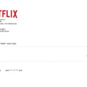 USA Netflix Invoice Word And PDF Template