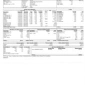 USA New Jersey Hackensack Meridian Health Pay Stub Word And PDF Template (4 Pages)