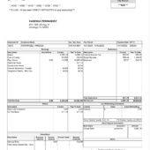 USA Northern California Conference Paystub Word And PDF Template