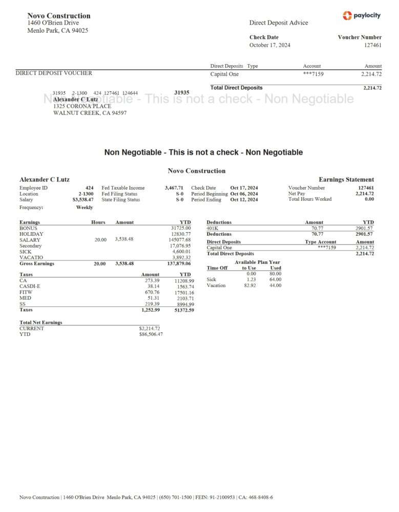 USA Novo Construction Pay Stub Word And PDF Template