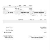 USA Orlo Heirs LLC PayStub Word And PDF Template