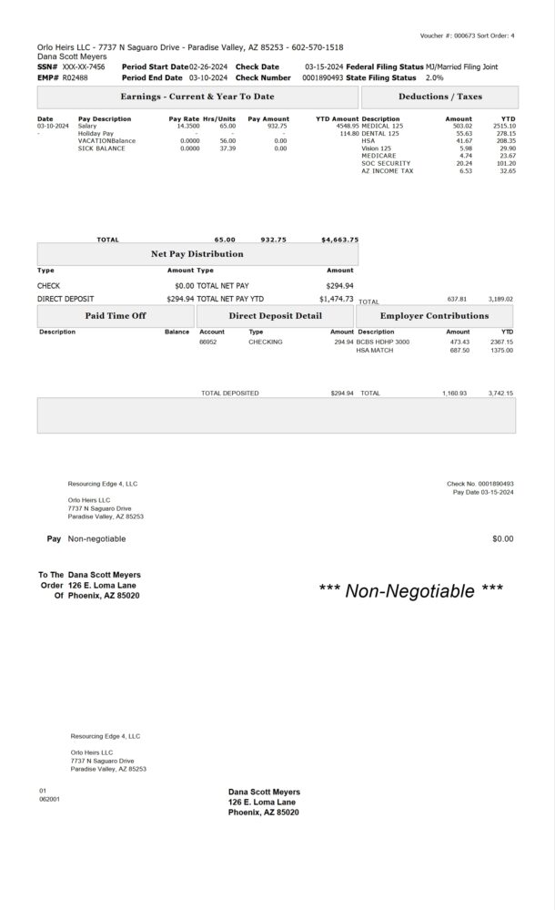 USA Orlo Heirs LLC PayStub Word And PDF Template
