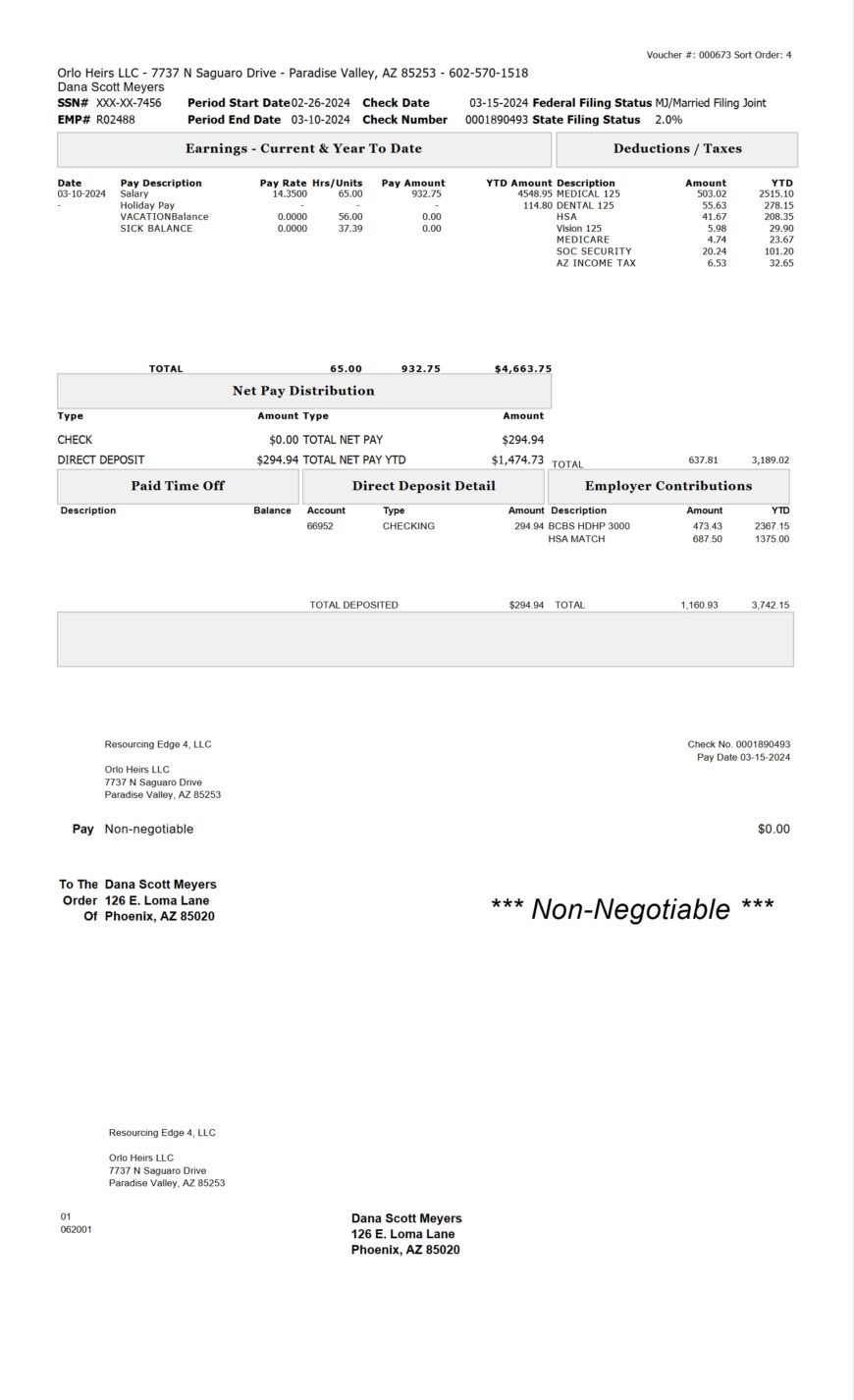 USA Orlo Heirs LLC PayStub Word And PDF Template