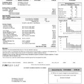 USA Peoples Gas Utility Bill Template In Word And PDF Format