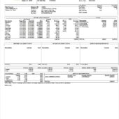 USA Piedmont Healthcare PayStub Word And PDF Template