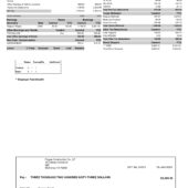 USA Pogue Construction Co PayStub Word And PDF Template (4 Pages)