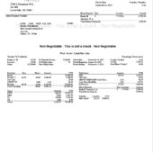 USA Post Acute Analytics Pay Stub Word And PDF Template (2 Pages)