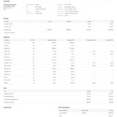USA Protective Life Insurance PayStub Word And PDF Template (3 Pages)