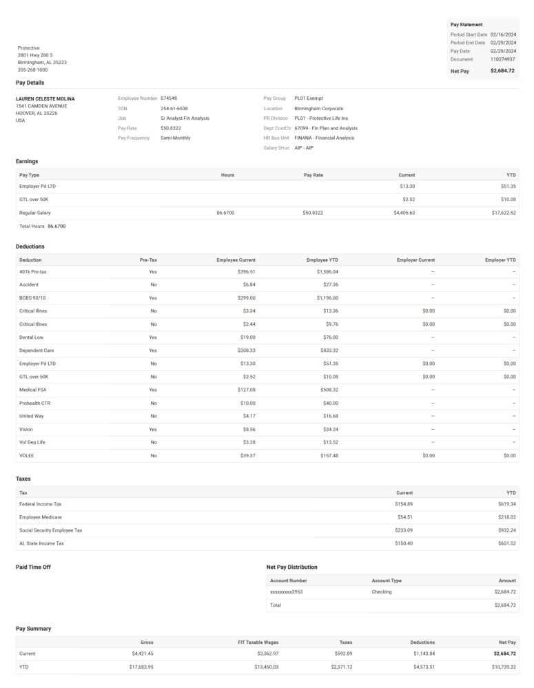 USA Protective Life Insurance PayStub Word And PDF Template 3 Pages