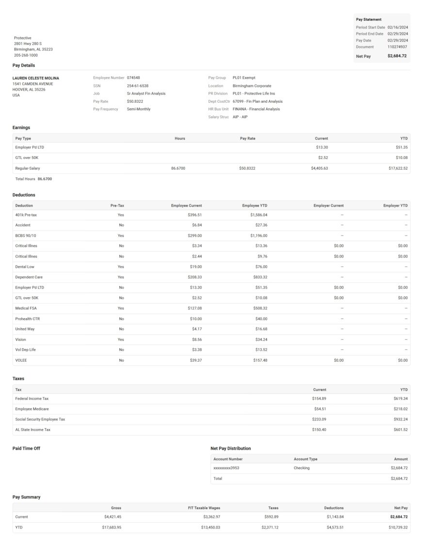 USA Protective Life Insurance PayStub Word And PDF Template 3 Pages