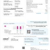 USA Reliant Energy Utility Bill Word And PDF Template (3 Pages)