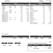 USA Scotty’s Contracting & Stone Pay Stub Word And PDF Template