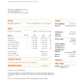 USA Sixt Rent a Car Invoice Word And PDF Template (2 Pages)