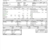 USA SkyWest Airlines Earnings Statement Word And PDF Template (17 Pages)