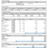USA Snap Inc Pay Stub Word And PDF Template (8 Pages)
