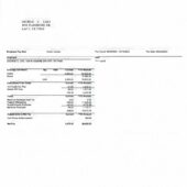 USA Sunho Foods LLC Pay Stub Word And PDF Template