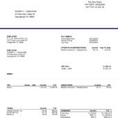USA Texas A.T.E.K. Service Pros LLC Pay Stub Word And PDF Template (4 Pages)