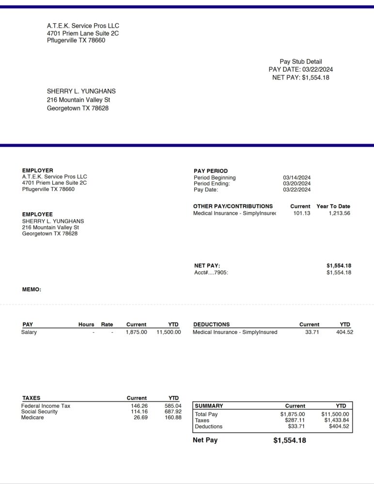 USA Texas A.T.E.K. Service Pros LLC Pay Stub Word And PDF Template 4 Pages 1