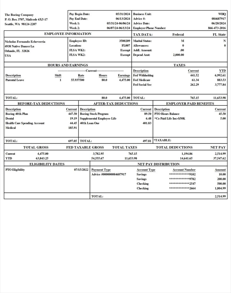 USA The Boeing Company PayStub Word And PDF Template 2 Pages