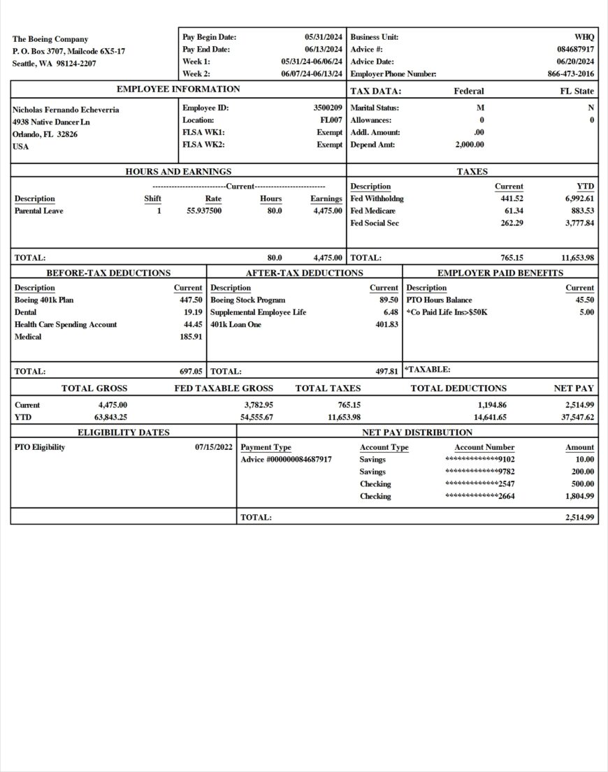 USA The Boeing Company PayStub Word And PDF Template 2 Pages
