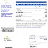 USA TriEagle Energy Utility Bill Word And PDF Template