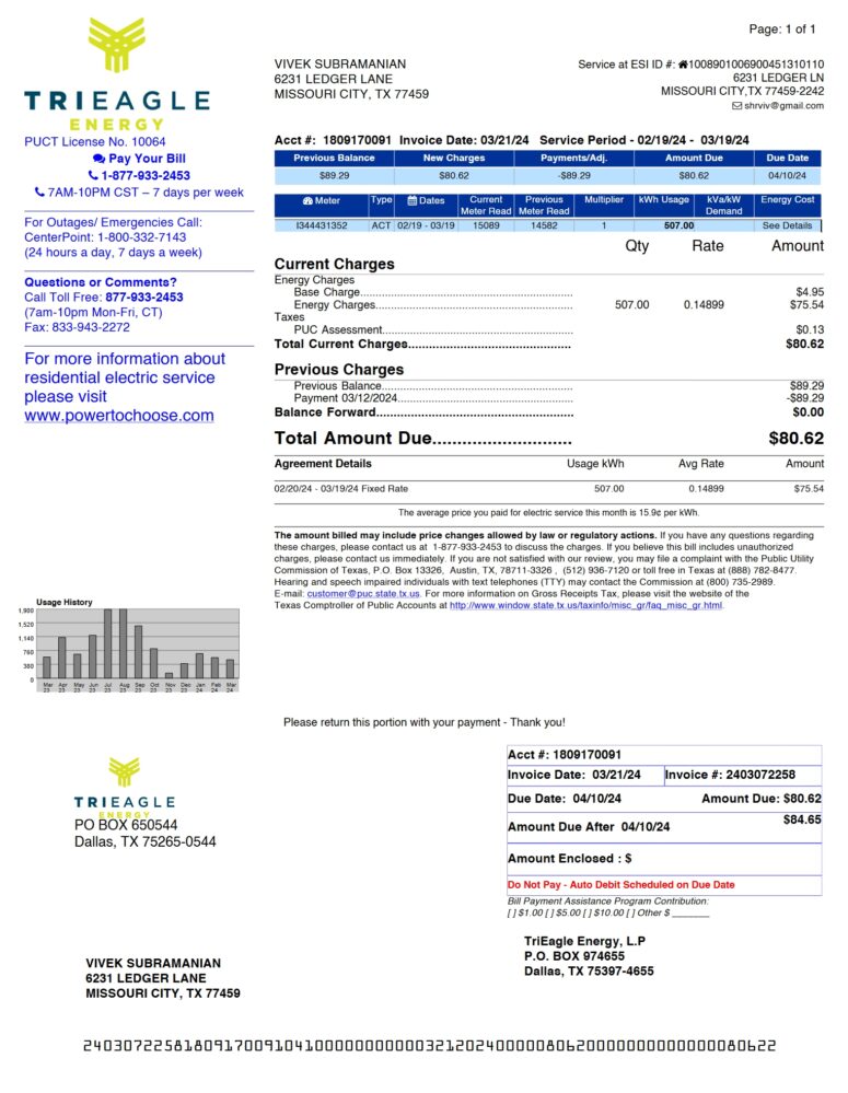 USA TriEagle Energy Utility Bill Word And PDF Template