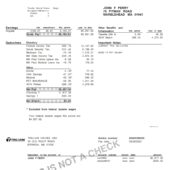 USA Trillium Flow Technologies PayStub Word And PDF Template (2 Pages)