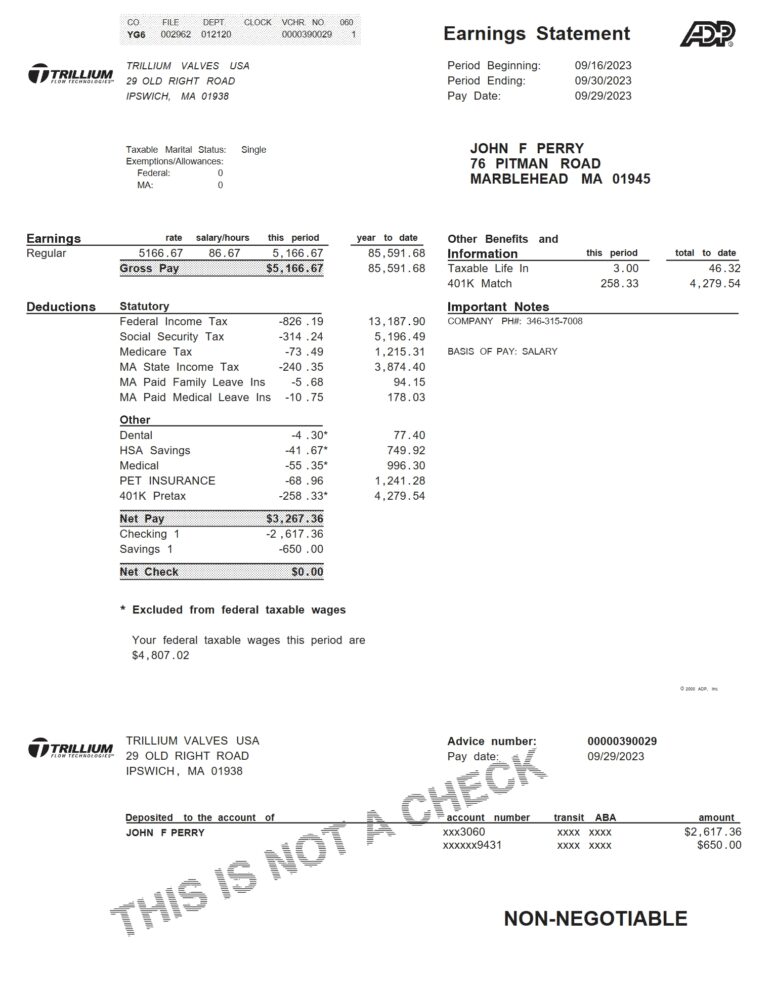 USA Trillium Flow Technologies PayStub Word And PDF Template 2 Pages