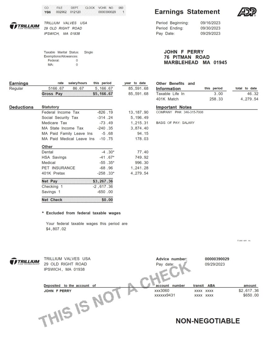 USA Trillium Flow Technologies PayStub Word And PDF Template 2 Pages