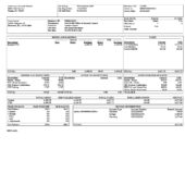 USA University of South Florida PayStub Word And PDF Template (2 Pages)