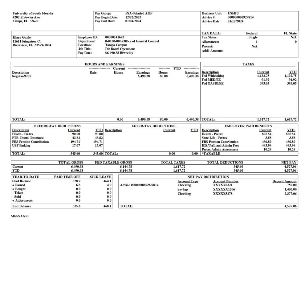 USA University of South Florida PayStub Word And PDF Template 2 Pages