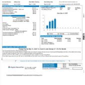 USA Virginia Natural Gas Utility Bill Word And PDF Template (2 Pages)