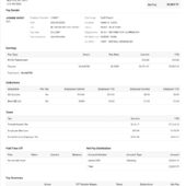 USA Wilson Elser Pay Stub Word And PDF Template (2 Pages)