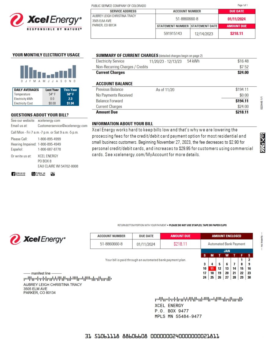 USA Xcel Energy Utility Bill Word And PDF Template