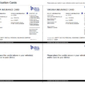 VIRGINIA VEHICLE INSURANCE CARD Template